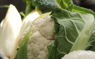 Menu à la Carte 6 – 11 Maggio 2025