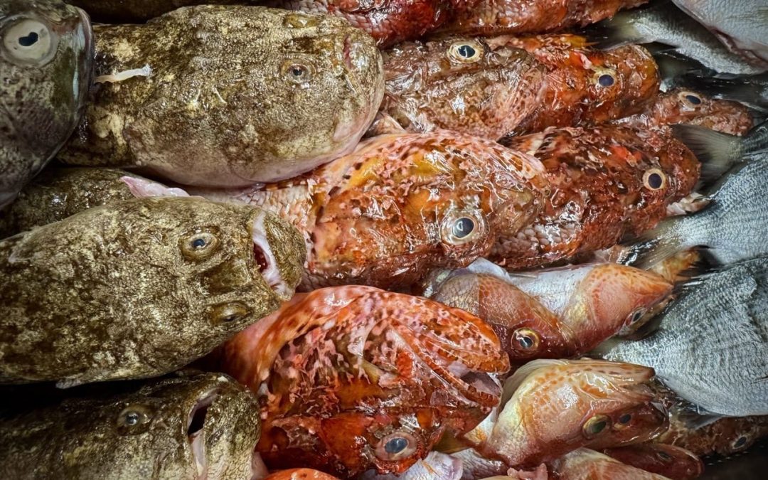 Menu à la Carte 9 – 14 Settembre 2025